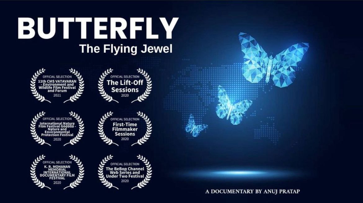 Butterfly The Flying Jewel